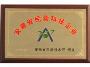 安徽省民營科技企業